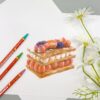 開團專屬優惠 ❤️『 學齡兒童進階彩繪練習組 』：圖片 13