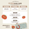 兒童STEAM探索系列-LJ高效時間管理多功能鬧鐘(送電池)：圖片 8